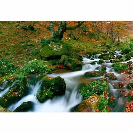 Landhaus La Carrozal Senda Del Oso