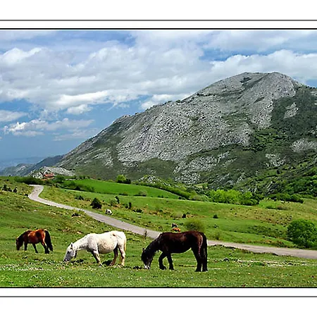 La Carrozal Senda Del Oso