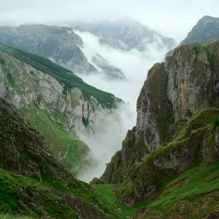 La Carrozal Senda Del Oso