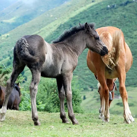 La Carrozal Senda Del Oso *